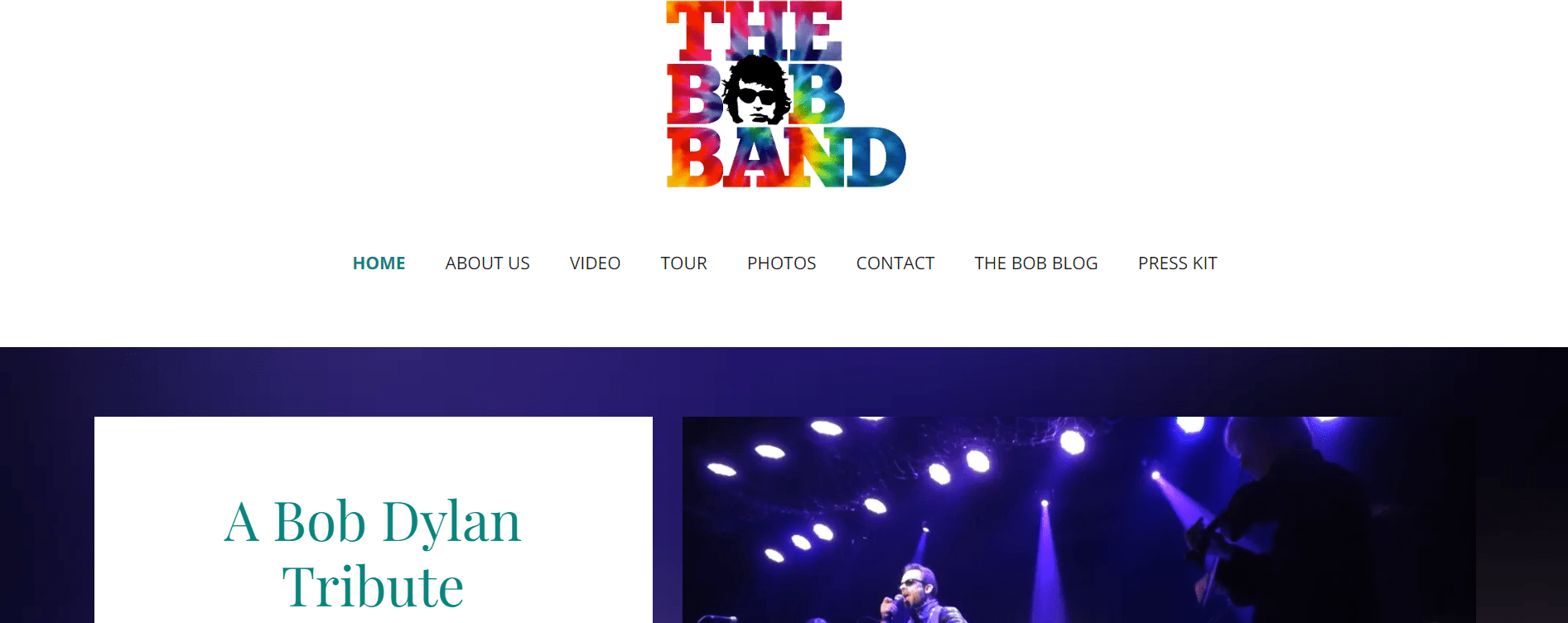 a website for a bob dylan tribute band.