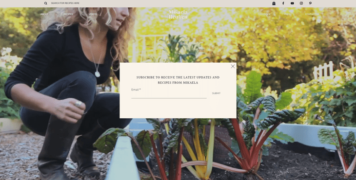 MIkaela Reuben website homepage featuring email sign up box