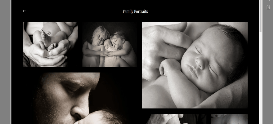 wix photography template emilia client albums