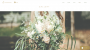 wix wedding template twilight events gallery