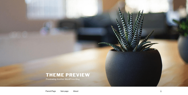 wordpress theme demo example